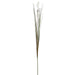 31" Cattail Grass Artificial Flower Stem -Cream (Pack of 12) - PSC048-CR