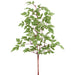 30" Cimicifuga Ramosa Leaf Silk Stem -Green (Pack of 12) - PSC070-GR