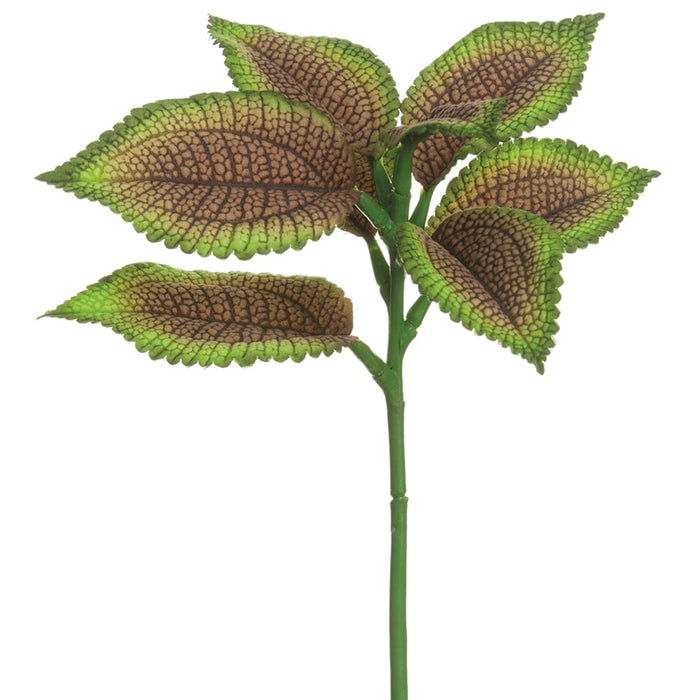 10" Silk Coleus Leaf Stem -Brown/Green (pack of 12) - PSC105-BR/GR