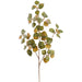 26" Cotinus Leaf Silk Stem -Green/Mustard (Pack of 12) - PSC340-GR/MD