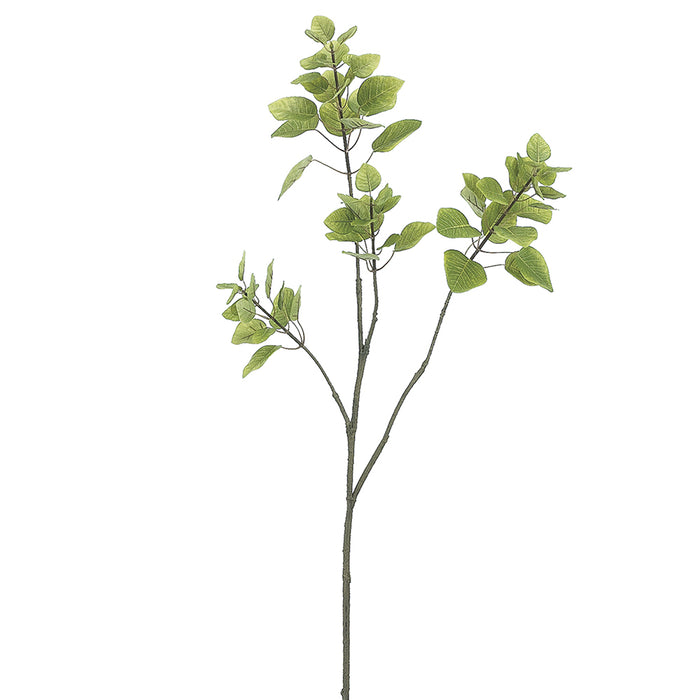 48" Silk Cotinus Leaf Stem -Green (Pack of 12) - PSC348-GR