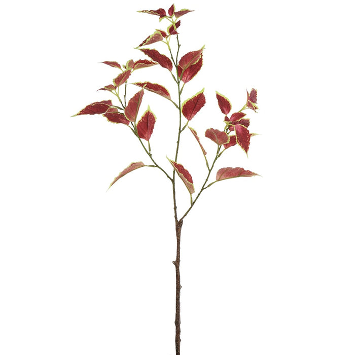 31" Silk Coleus Leaf Stem -Burgundy/Green (pack of 12) - PSC449-BU/GR