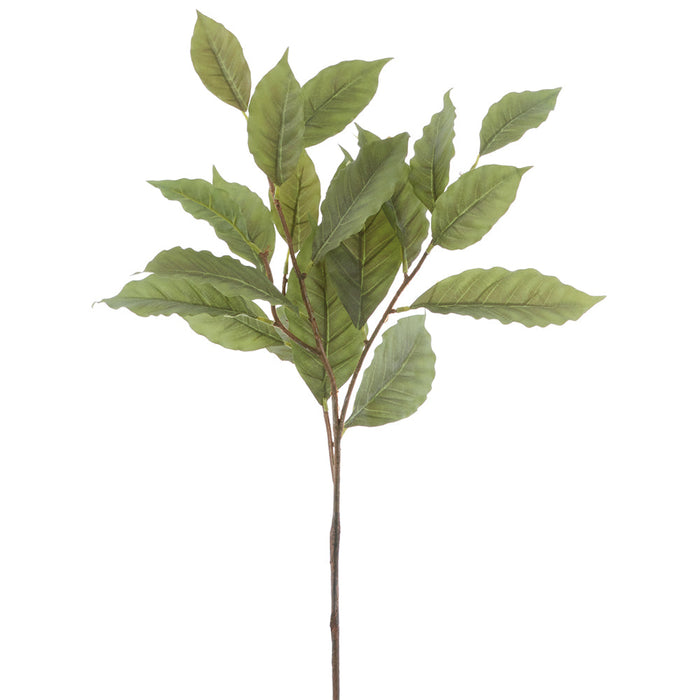 26" Coffee Bean Leaf Silk Stem -Green (Pack of 24) - PSC531-GR