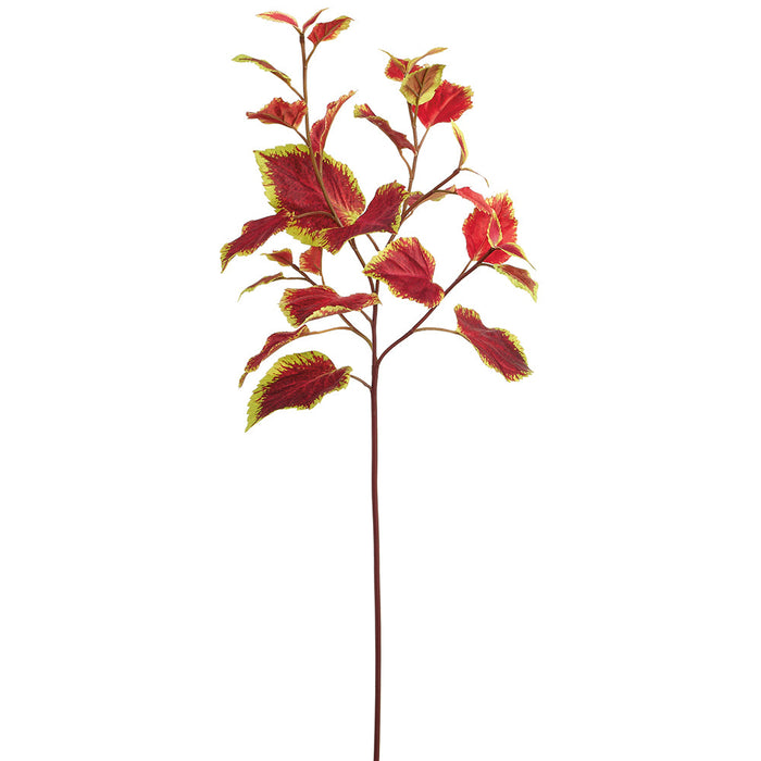 30" Coleus Leaf Silk Stem -Burgundy/Green (Pack of 12) - PSC573-BU/GR