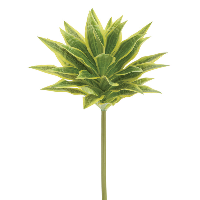 23.5" Artificial Dracaena Leaf Stem -2 Tone Green (Pack of 12) - PSD019-GR/TT