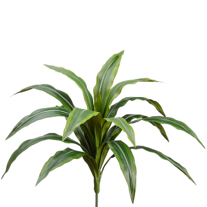 22" Silk Dracaena Leaf Plant -Green/Gray (pack of 6) - PSD101-GR/GY