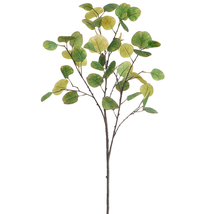 36" Eucalyptus Leaf Silk Stem -Green (Pack of 6) - PSE012-GR