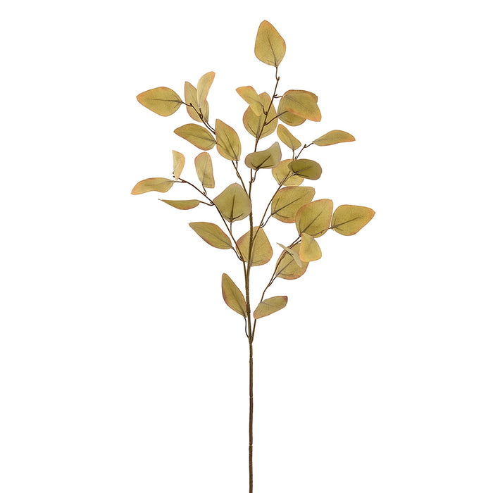36" Eucalyptus Leaf Silk Stem -Green/Moss (Pack of 12) - PSE024-GR/MO