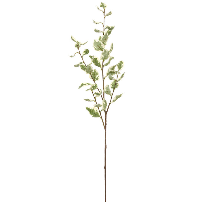 42.5" Euonymus Leaf Silk Stem -Green/Variegated (pack of 12) - PSE094-GR/VG