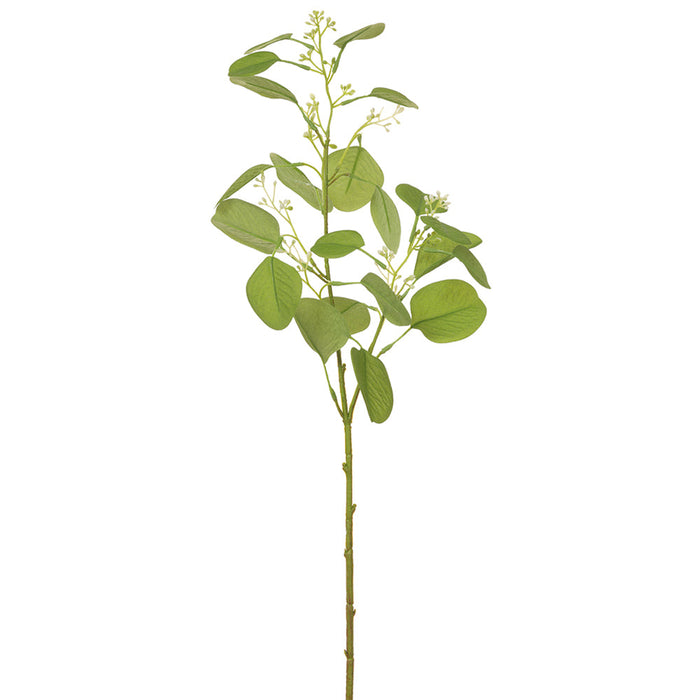 23.5" Blooming Eucalyptus Leaf Silk Stem -Green (pack of 12) - PSE095-GR
