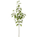 34" Silk Eucalyptus Leaf Stem -Green (pack of 12) - PSE100-GR