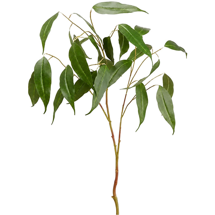 36" Eucalyptus Silk Stem -Green (Pack of 12) - PSE157-GR