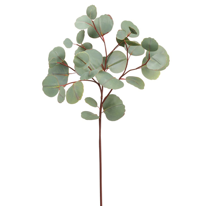 26" Eucalyptus Silk Stem -Green (pack of 12) - PSE190-GR/GY
