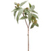 32.5" Seeded Eucalyptus Silk Stem -Green (pack of 12) - PSE216-GR