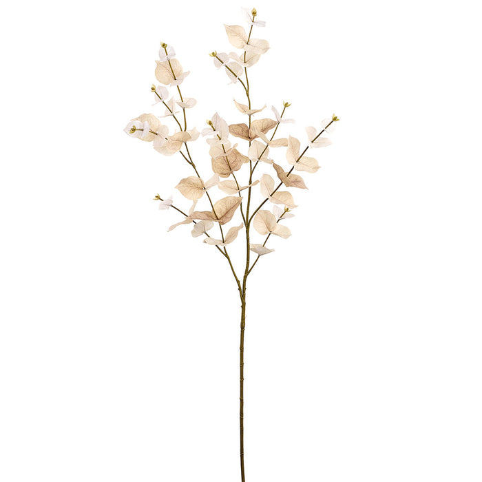 38" Eucalyptus Leaf Silk Stem -Beige (Pack of 24) - PSE260-BE