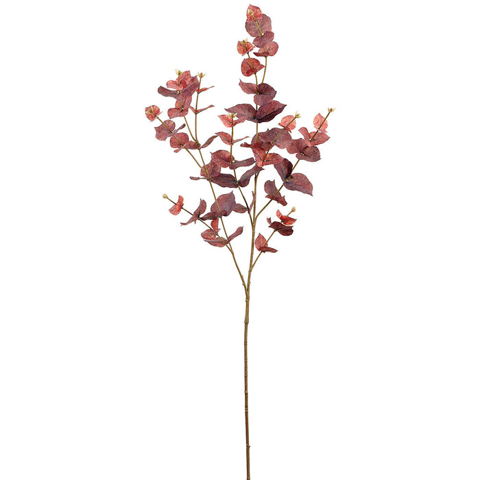 38" Eucalyptus Leaf Silk Stem -Brown (Pack of 24) - PSE260-BR