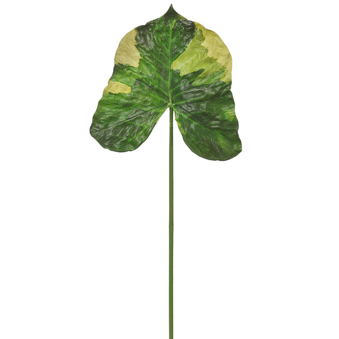 40" Elephant Ear Leaf Silk Stem -2 Tone Green (Pack of 12) - PSE380-GR/TT