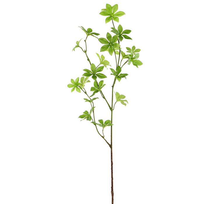 34.5" Silk Enkianthus Leaf Stem -Green (pack of 12) - PSE409-GR