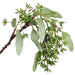 16" Hanging Seeded Silk Eucalyptus Leaf Stem -Green (pack of 12) - PSE434-GR