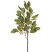 27" Seeded Eucalyptus Leaf Silk Stem -Green (Pack of 12) - PSE491-GR