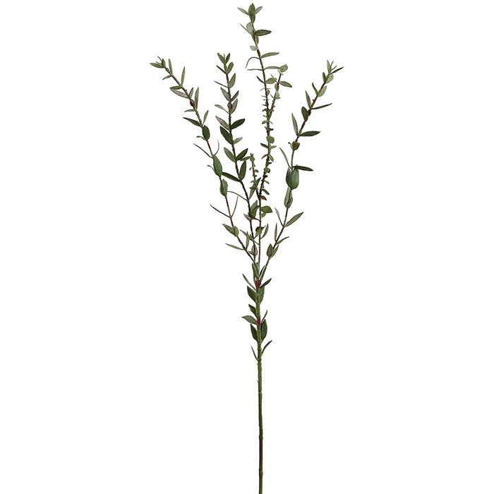 29" Eucalyptus Parvifolia Leaf Silk Stem -Green (Pack of 12) - PSE504-GR