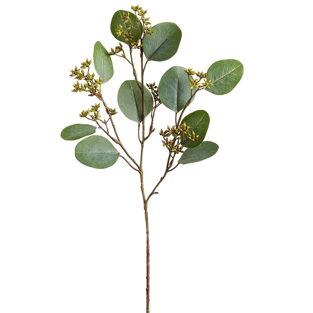 20" Seeded Silk Eucalyptus Leaf Stem Green/Gray Eucalyptus Stems