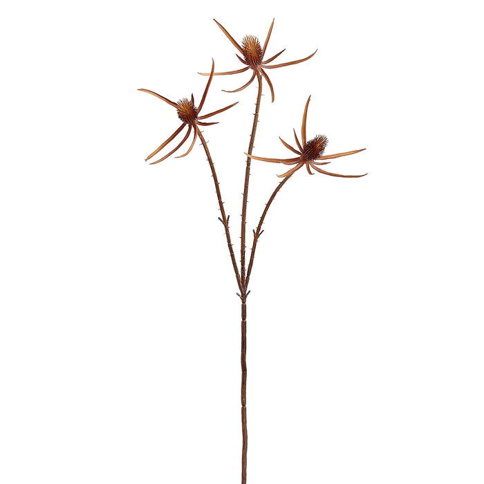 27.5" Artificial Eryngium Flower Stem -Brown (Pack of 12) - PSE656-BR