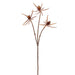 27.5" Artificial Eryngium Flower Stem -Brown (Pack of 12) - PSE656-BR