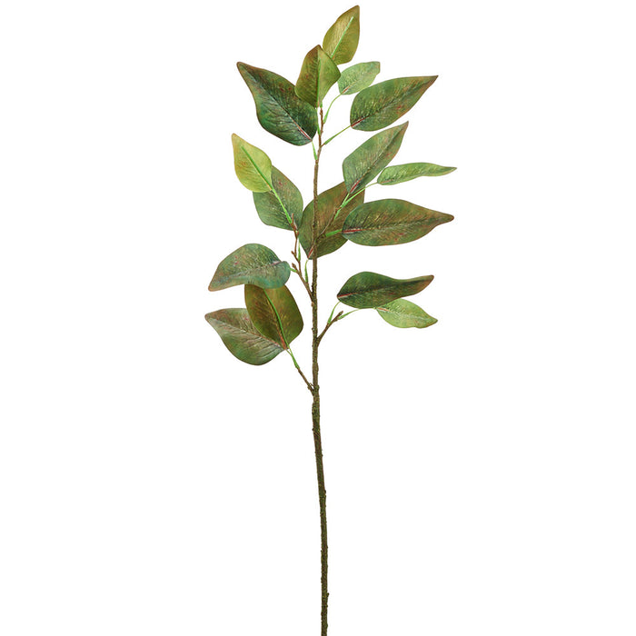 30" Eucalyptus Leaf Silk Stem -2 Tone Green (pack of 12) - PSE701-GR/TT