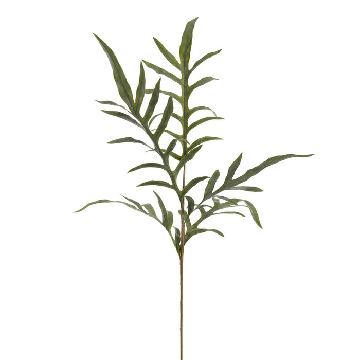 38" Java Fern Leaf Silk Stem -Green (Pack of 24) - PSF204-GR