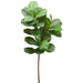 42" Silk Fiddle Leaf Fig Stem -Green (pack of 6) - PSF224-GR