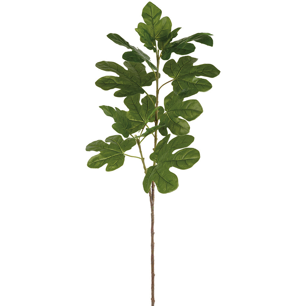 Silk Fig Leaf Tree