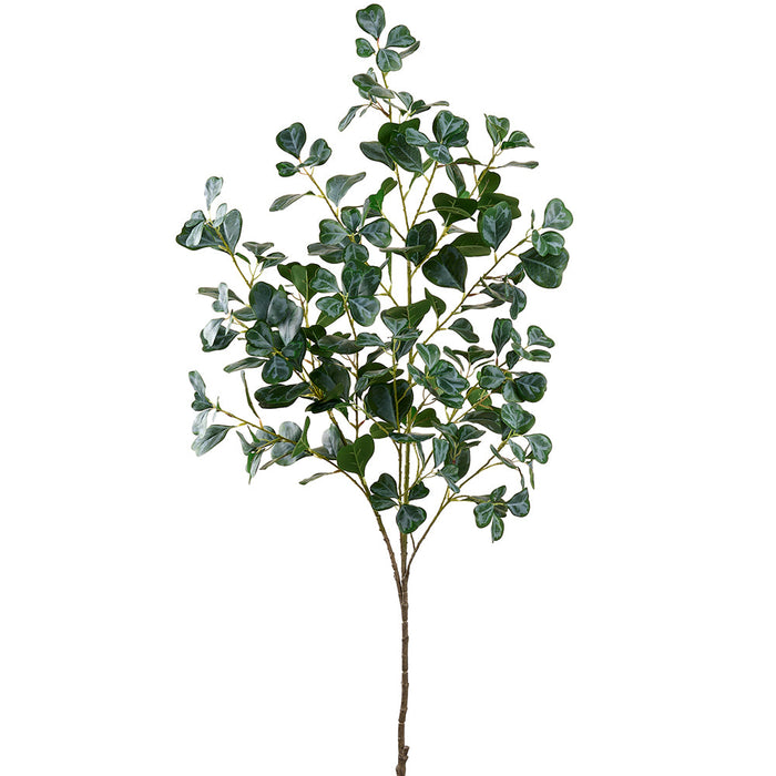 48" Ficus Triangularis Leaf Silk Stem -Green (Pack of 6) - PSF395-GR/TT