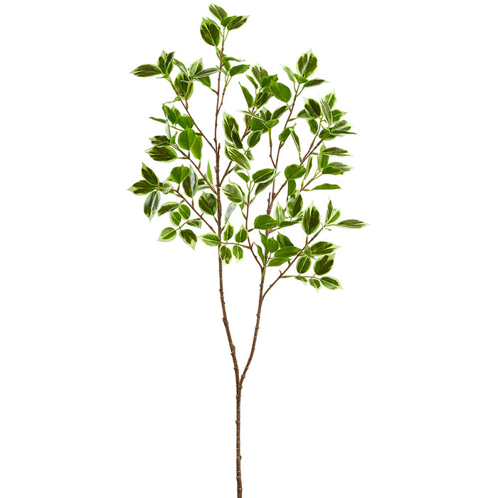 38.5" Ficus Leaf Silk Stem -2 Tone Green (Pack of 12) - PSF455-GR/TT
