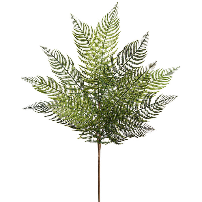30" Fern Leaf Silk Stem -Green (Pack of 8) - PSF520-GR