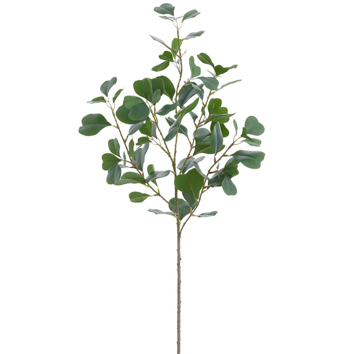 34" Ficus Triangularis Leaf Silk Stem -Green (Pack of 12) - PSF559-GR