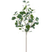 34" Ficus Triangularis Leaf Silk Stem -Green (Pack of 12) - PSF559-GR