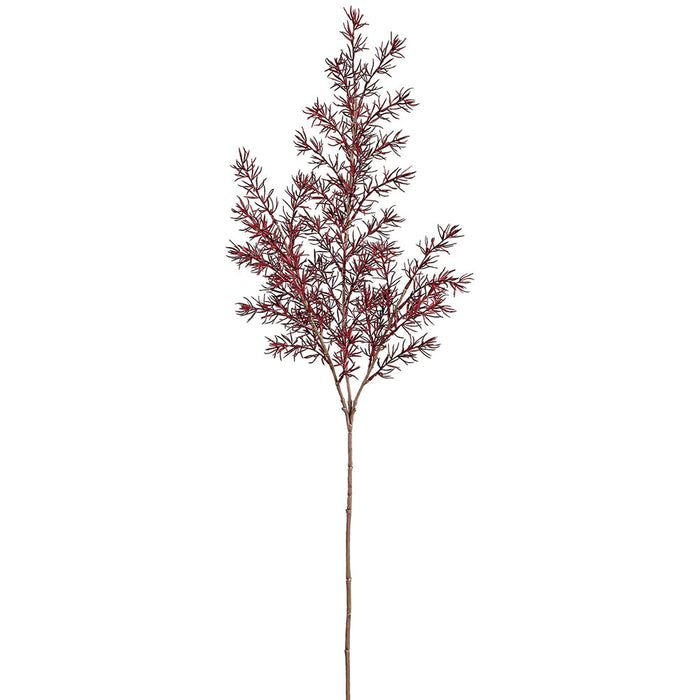 34" Asparagus Fern Leaf Artificial Stem -Burgundy (Pack of 12) - PSF643-BU