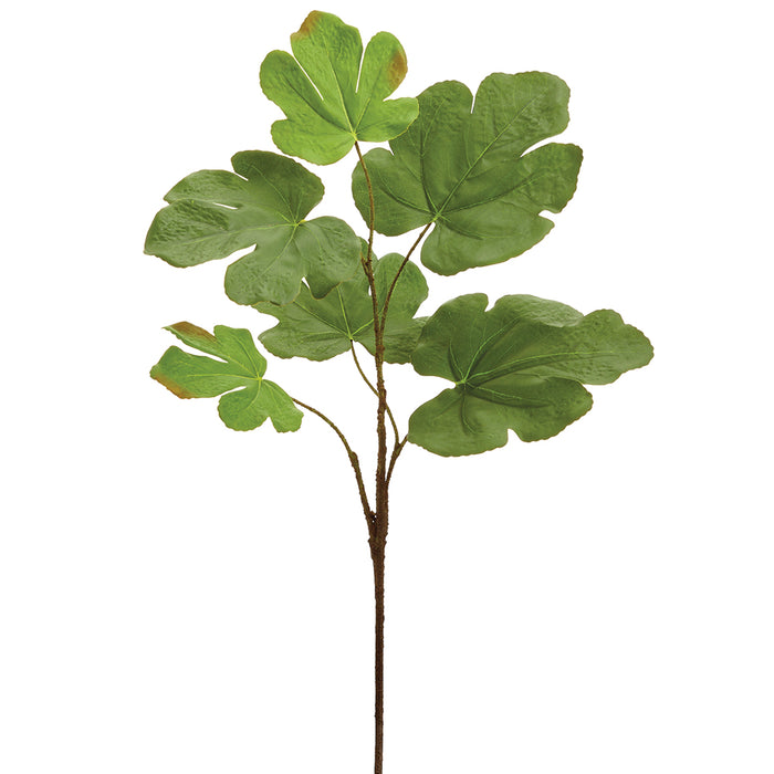 26" Silk Fig Leaf Stem -Green (pack of 12) - PSF656-GR