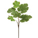 26" Silk Fig Leaf Stem -Green (pack of 12) - PSF656-GR