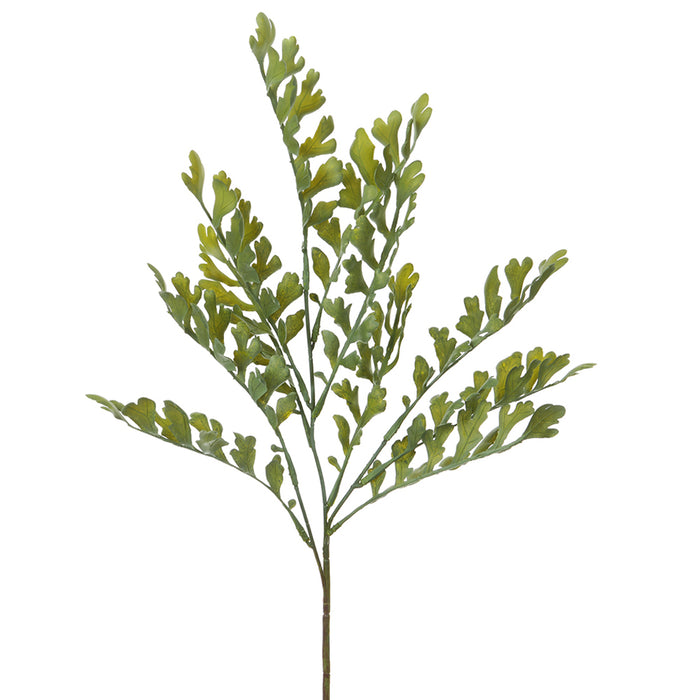 26" Silk Fern Stem -Green/Gray (Pack of 12) - PSF682-GR/GY