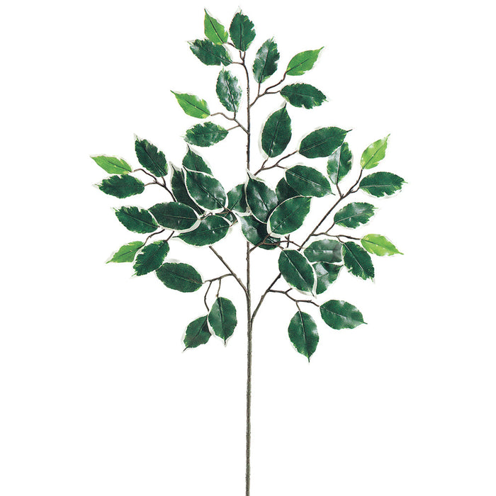 23" Deluxe Ficus Leaf Silk Stem -Variegated (Pack of 480) - PSF731-