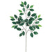 23" Silk Deluxe Ficus Leaf Stem -Green/Variegated (pack of 480) - PSF731-