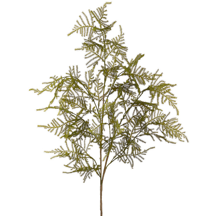 38" Asparagus Fern Leaf Artificial Stem -Green (Pack of 12) - PSF739-GR