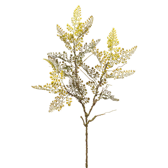 33" Silk Maidenhair Fern Leaf Stem -Green (Pack of 12) - PSF836-GR