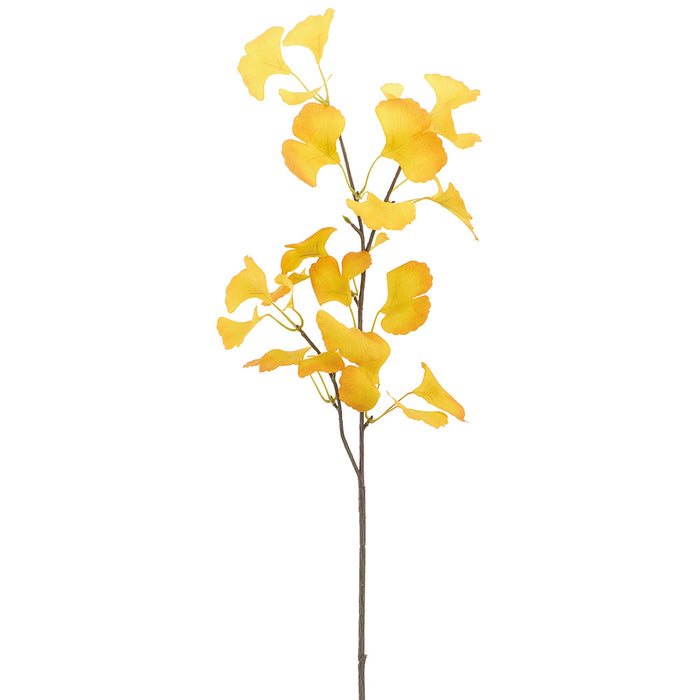 36.5" Ginkgo Leaf Silk Stem -Yellow (Pack of 12) - PSG001-YE
