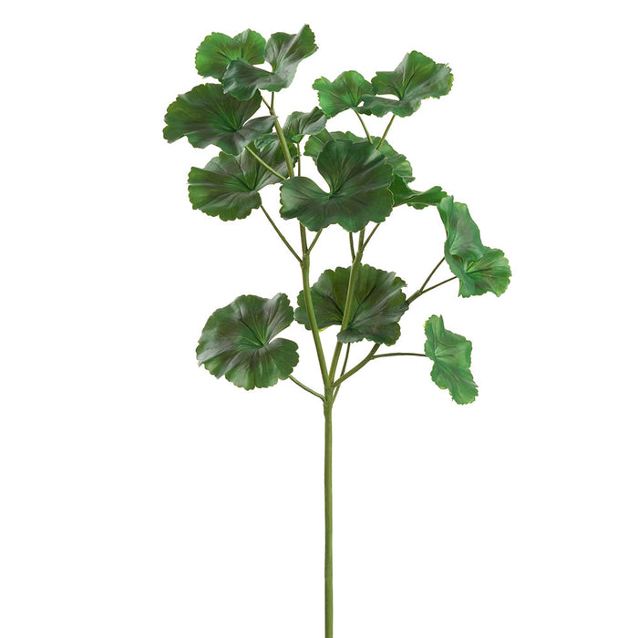 29.5" Silk Geranium Leaf Stem -Green (pack of 12) - PSG106-GR