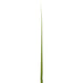 30" Artificial Curved Grass Leaf Stem -Green (Pack of 1200) - PSG231-GR