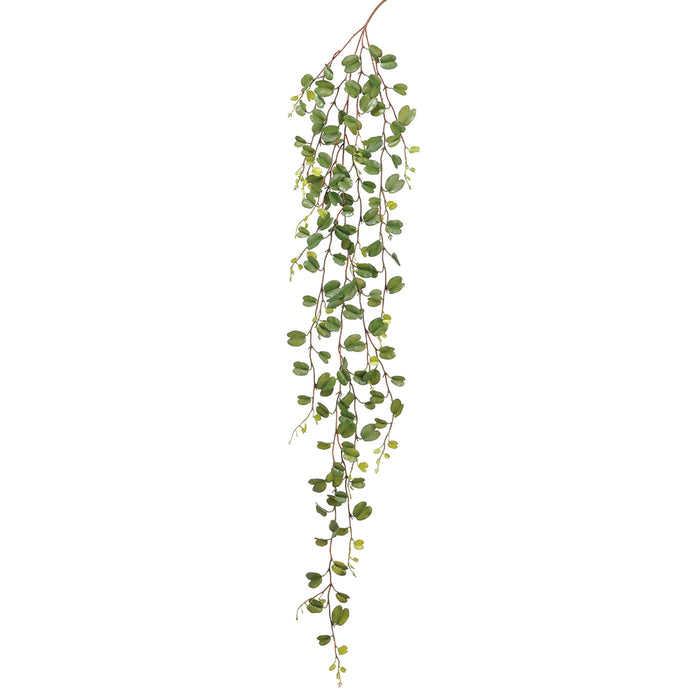 75" Hanging Silk Hoya Leaf Stem -Green (pack of 6) - PSH073-GR