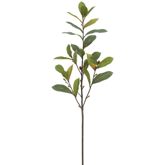 30" Laurel Leaf Artificial Stem -Green (Pack of 12) - PSH202-GR